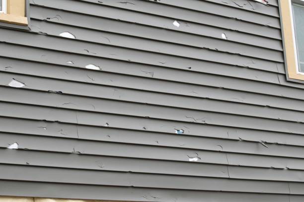 Best Aluminum Siding Installation  in West Point, GA